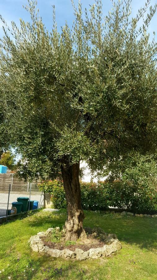 Villa Bracci Molinaccio Εξωτερικό φωτογραφία